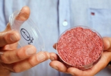 La carne in vitro modifica el concepto de uno de los paradigmas alimenticios ms antiguos y tradicionales